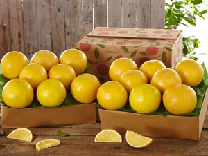 2 Trays of White Grapefruit