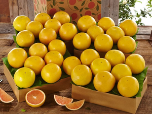 4 Trays of Ruby Red Grapefruit