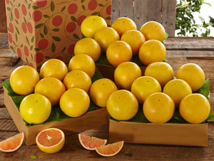 3 Trays of Ruby Red Grapefruit