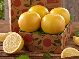 Sampler Tray of White Grapefruit