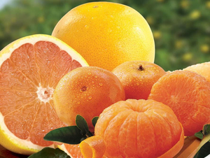 2 Trays Tangerines and Ruby Red Grapefruit