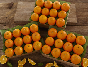 3 Trays of Tangerines