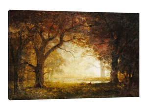 Forest Sunrise 