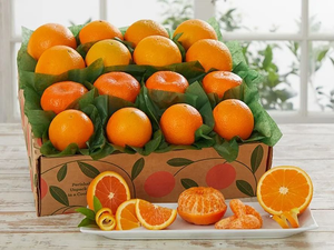 Orange Extravaganza
