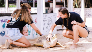 Volunteer in Sri Lanka