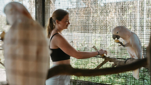 Volunteer in Bali