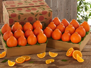 2 Trays of Honeybells