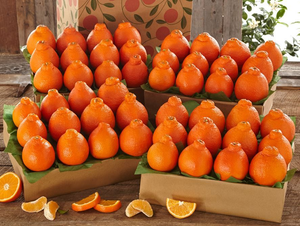 4 Trays of Honeybells