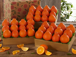 3 Trays of Honeybells