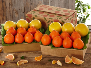 2 Trays Honeybells & Ruby Red Grapefruit