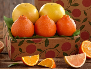 Sampler Tray of Honeybells & Ruby Red Grapefruit