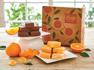 Fudge - Orange Cream & Chocolate