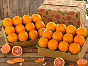 2 Trays of Cara Cara Navel Oranges