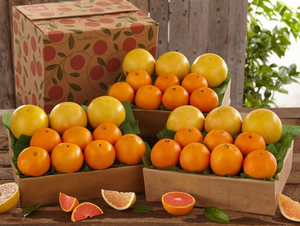 3 Trays of Cara Cara Navel Oranges & Ruby Red Grapefruit