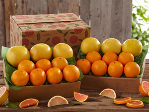 2 Trays of Cara Cara Navel Oranges & Ruby Red Grapefruit