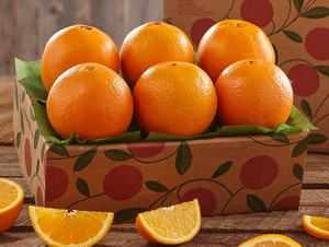 Sampler Tray of Cara Cara Navel Oranges