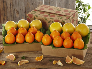 2 Trays - Golden Honeybells & Ruby Red Grapefruit