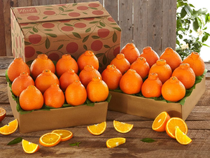 Golden Honeybells - 2 Trays