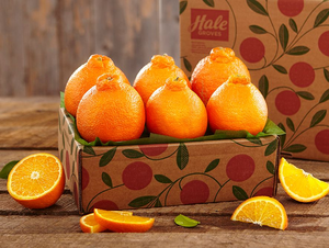 Golden Honeybells - Sampler Tray