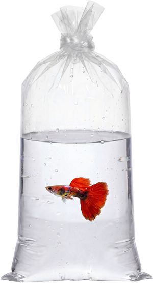 9" x 15" 2 Mil Poly Bags