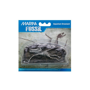 Marina Decorative Fossil Pterodactyl