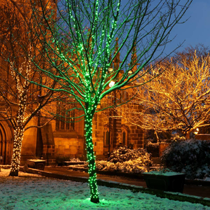 ConnectGo® Outdoor LED Fairy Lights, Connectable, Dark Green Cable