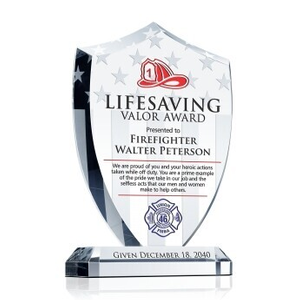 Firefighter Life Saving Valor Award
