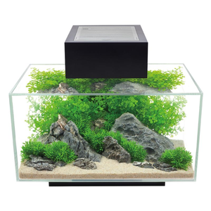 Fluval Edge 2.0 23L Aquarium in Gloss Black (With Freee Heater!)