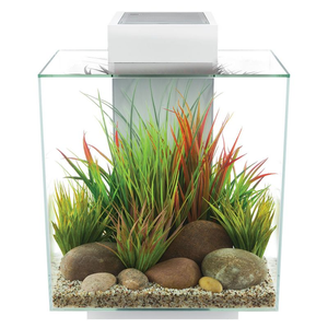 Fluval Edge 2.0 46L Aquarium in Gloss White (With free heater!)