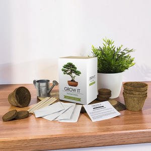 Grow Your Own Bonsai Tree