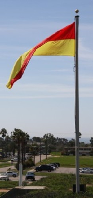 NRA Regulation Wind Flag