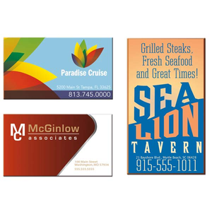 Business  Card Magnet - 20  mil