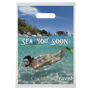 Digital  Full Color Die Cut 9x13  Bag
