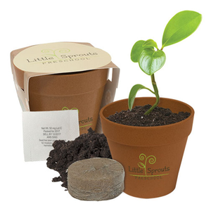 Mini  Bamboo Blossom Seed  Kit
