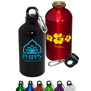 17  oz. Aluminum Water  Bottle