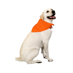 Large  Triangle Pet  Bandanna