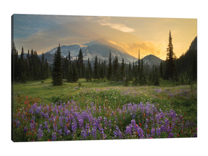 Mountainside Landscaper, Indian Henry's Hunting Ground, Mount Rainier National Park, Washington, USA