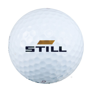 Titleist  Pro V1 Refinished Golf  Ball