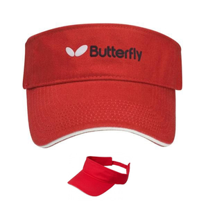 The  Visor