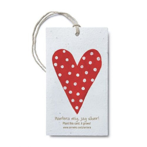 Seed  Paper Product Tags 2" x  3.5"