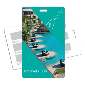 Large  Plastic Luggage  Tag