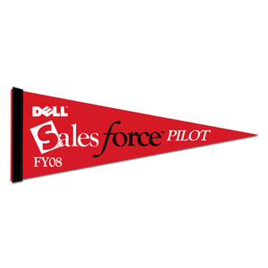 Colored  Pennant - 9" x  24"