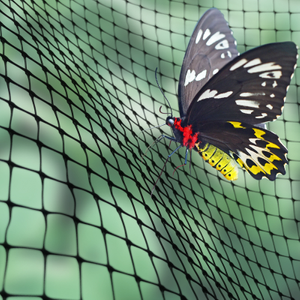 Butterfly & Insect Netting | Fruit & Vegetable Protection | 2m & 4m Widths - 4m, 8m
