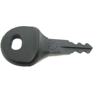 96 Series Ignition Key #75