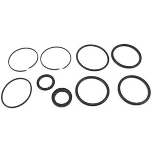 Tilt & Trim Seal Kit