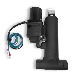 Johnson Evinrude Single Ram Hydraulic Lift Assembly