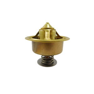 170 degree Thermostat