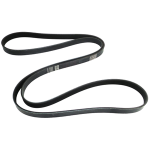 8.1L Serpentine Belt