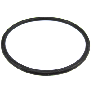 Raw Water Strainer/Purasan Tablet Dispenser O-Ring