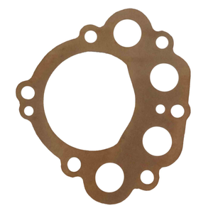 Pump Gasket | Sherwood 09918